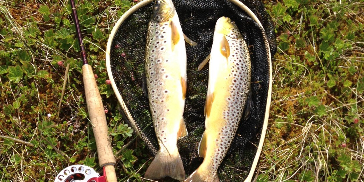 Ragnvald Lier banner