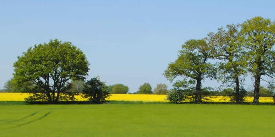 FarmingisMagic's profile banner image