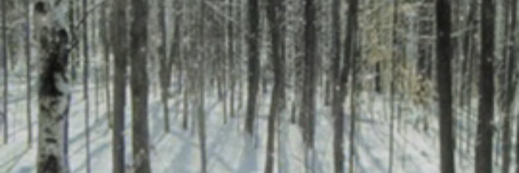 mboswellpenc's profile banner image