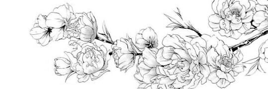 •🪷• banner