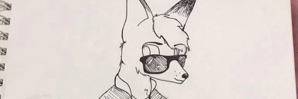 notch20194282's profile banner image