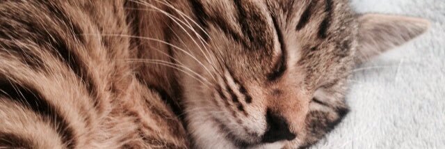 LauraWilh's profile banner image