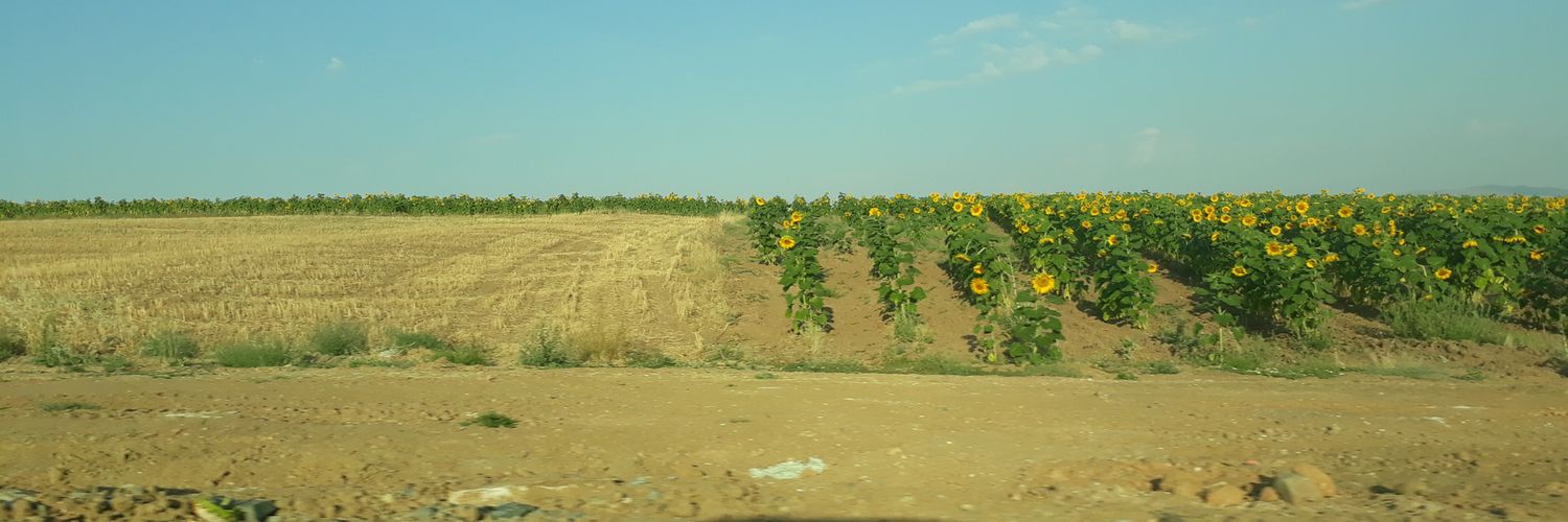 muhendiisce's profile banner image
