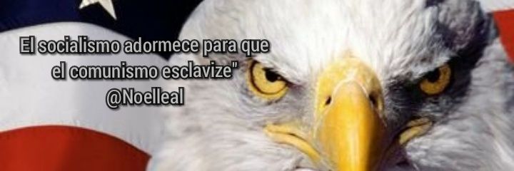 chuspachu's profile banner image