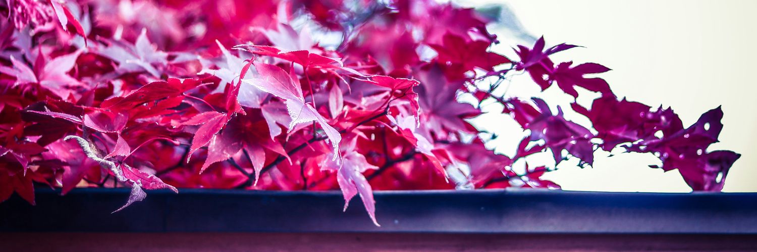 LKN_SR's profile banner image
