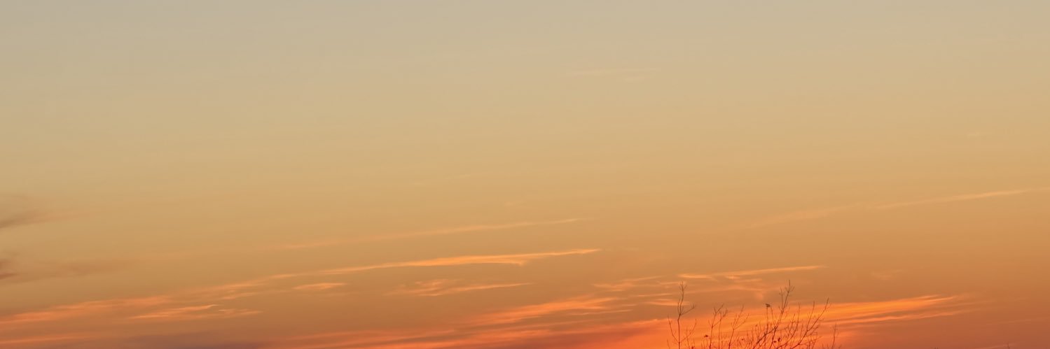 1776Stevens's profile banner image