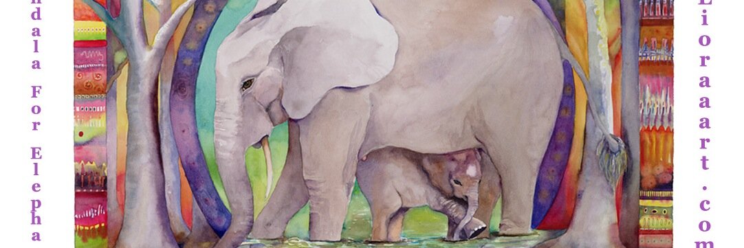 lioraart's profile banner image