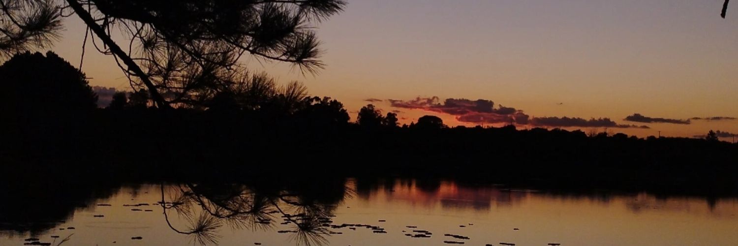 nisebberger's profile banner image