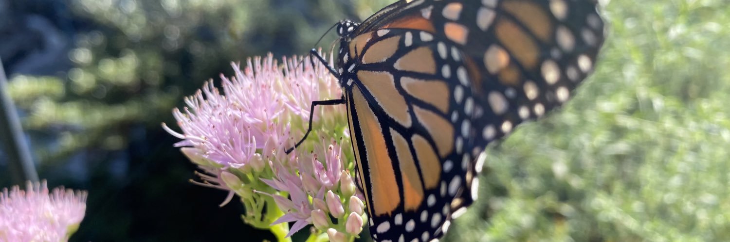OnlyJesusSaves ✝️🇺🇸✡️🇮🇱💜 banner