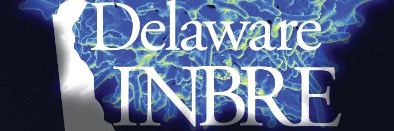 DelawareINBRE's profile banner image