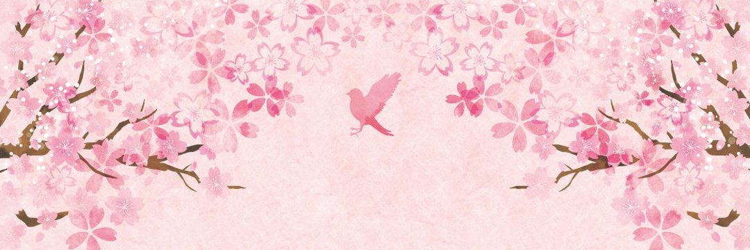 xjevd48112877's profile banner image