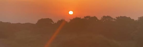 ProfKindeya Profile Banner