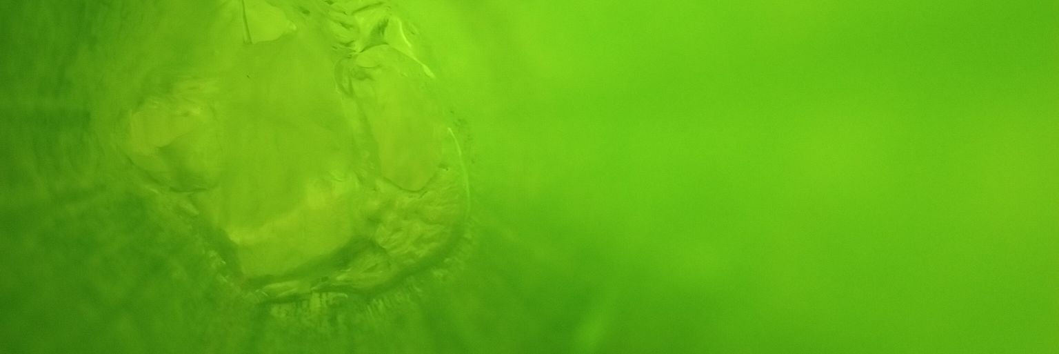 03enu's profile banner image
