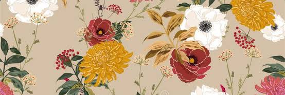 Amelia banner