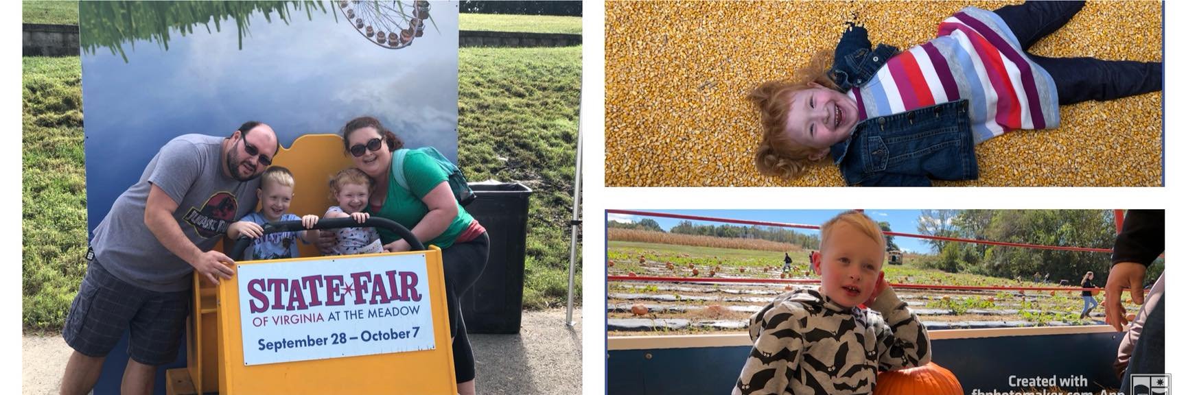 Stephanie Davis banner