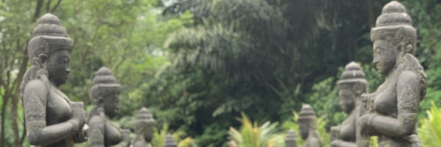 intanecio's profile banner image