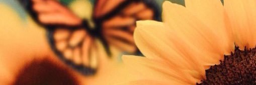 SKronberger's profile banner image
