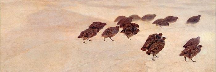 Stanisław Łubieński 🇺🇦✌ banner