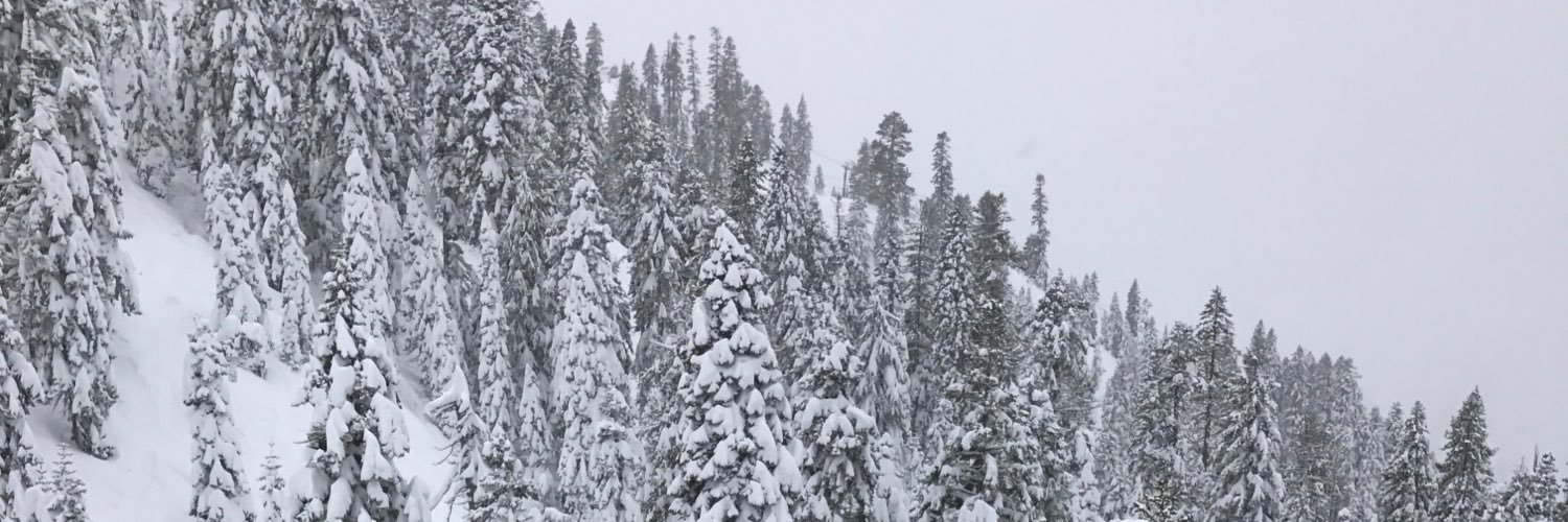 fernherediaa's profile banner image