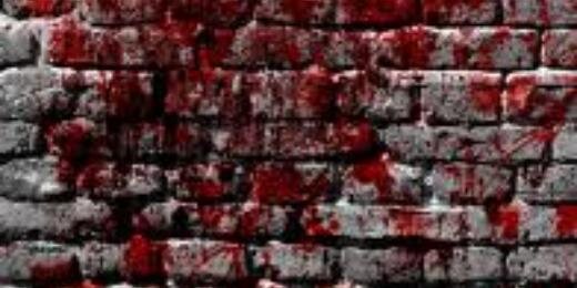 MetaCBR's profile banner image