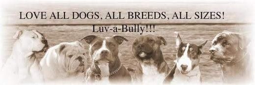 paulsdogshare's profile banner image