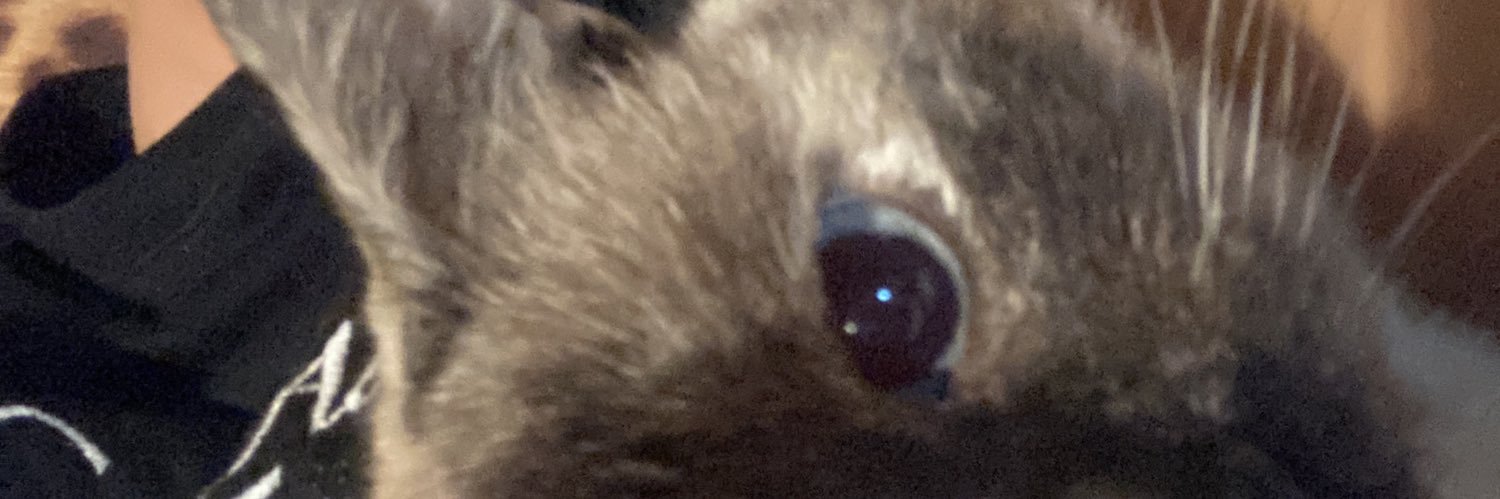 DelfiCangi's profile banner image