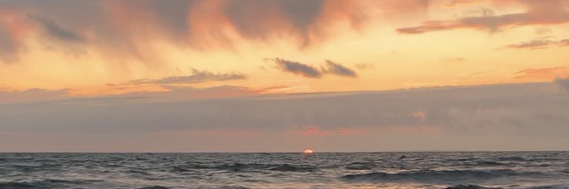LauraDecarite's profile banner image