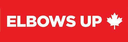 x-AliCat 🇨🇦🇵🇸🌈alicat.bsky.social banner