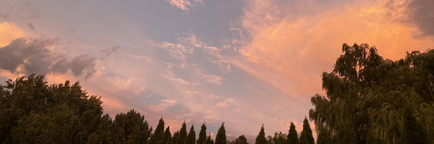 cassidi_h's profile banner image