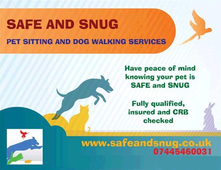 Safe and Snug banner