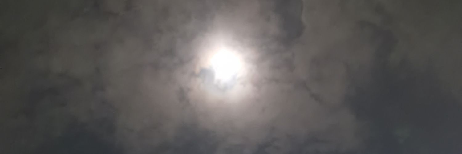 rosypare's profile banner image