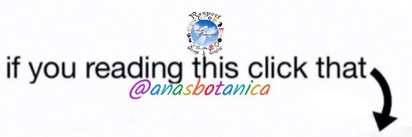 Ana's Botanica Profile Banner
