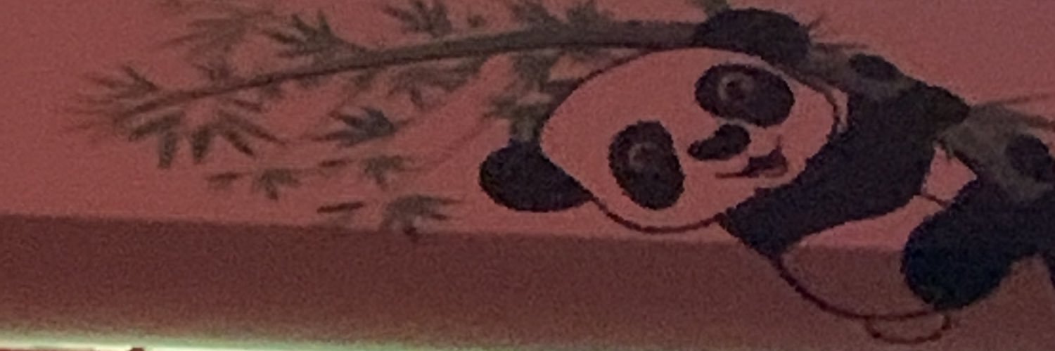 spicysana's profile banner image