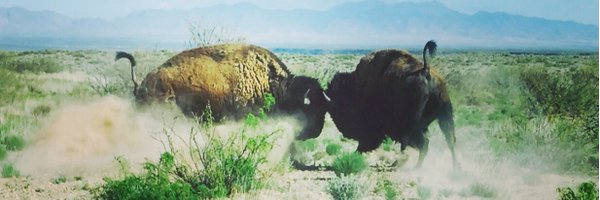 FrankCarrollAPR Profile Banner