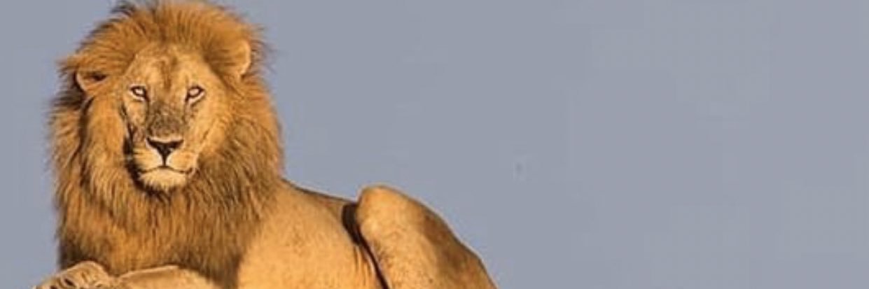 ShaneAugustus's profile banner image