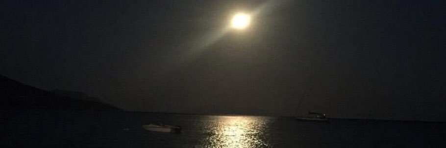 ozgeats's profile banner image