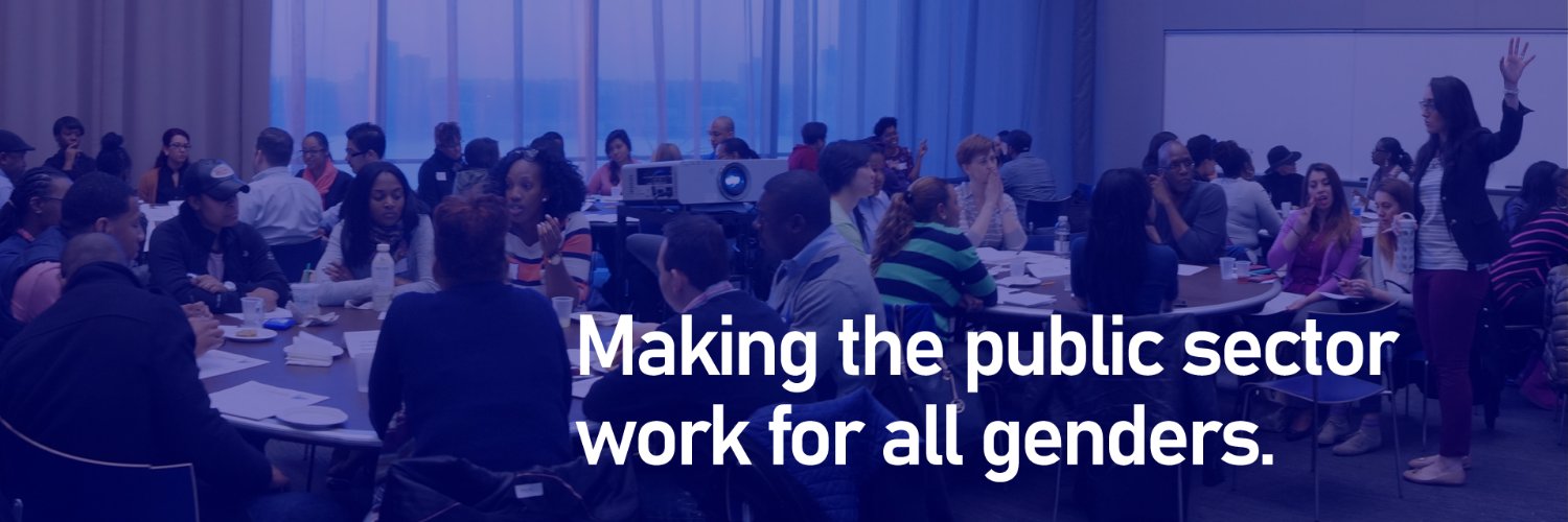 Initiative for Gender Equity in the Public Sector banner