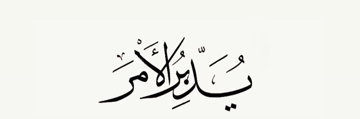 NSarraf's profile banner image