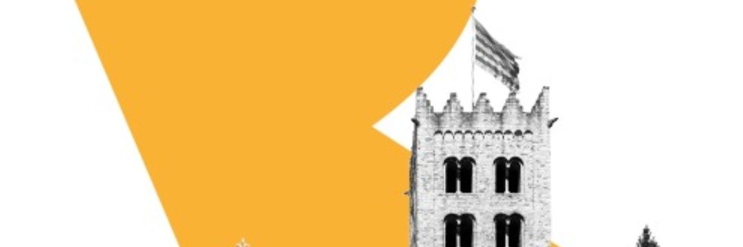 Ripoll Comerç banner