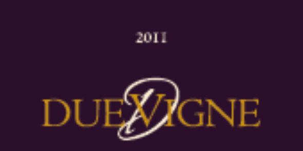 duevignewine's profile banner image