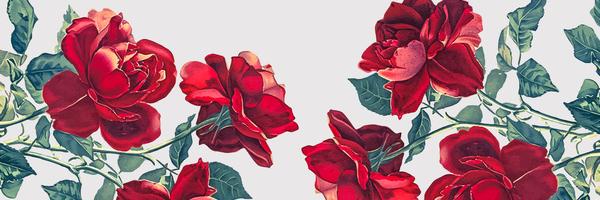 xobabyox's profile banner image