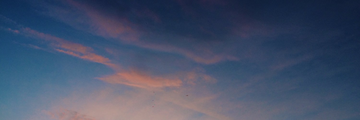 alicetodd2's profile banner image