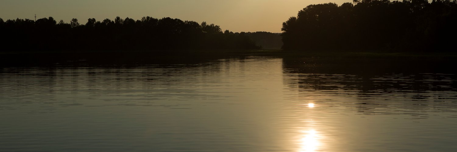SafeStateEnv's profile banner image