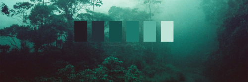 irem9771's profile banner image