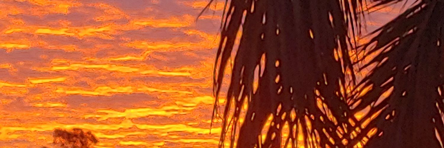 Jen Vonderwell banner