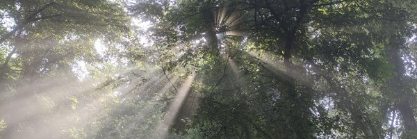 bcooper876 Profile Banner