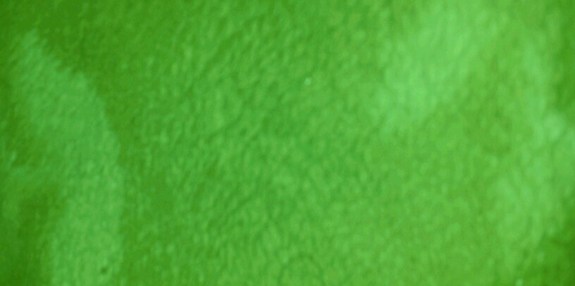 tarilk20's profile banner image