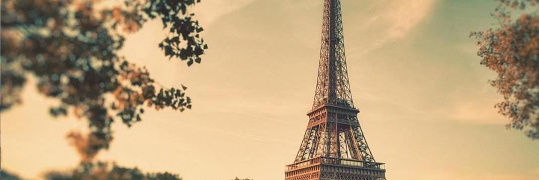 Nicolas Perle banner