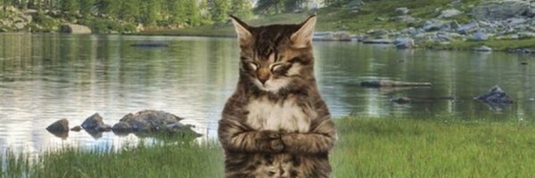 leoplucio Profile Banner