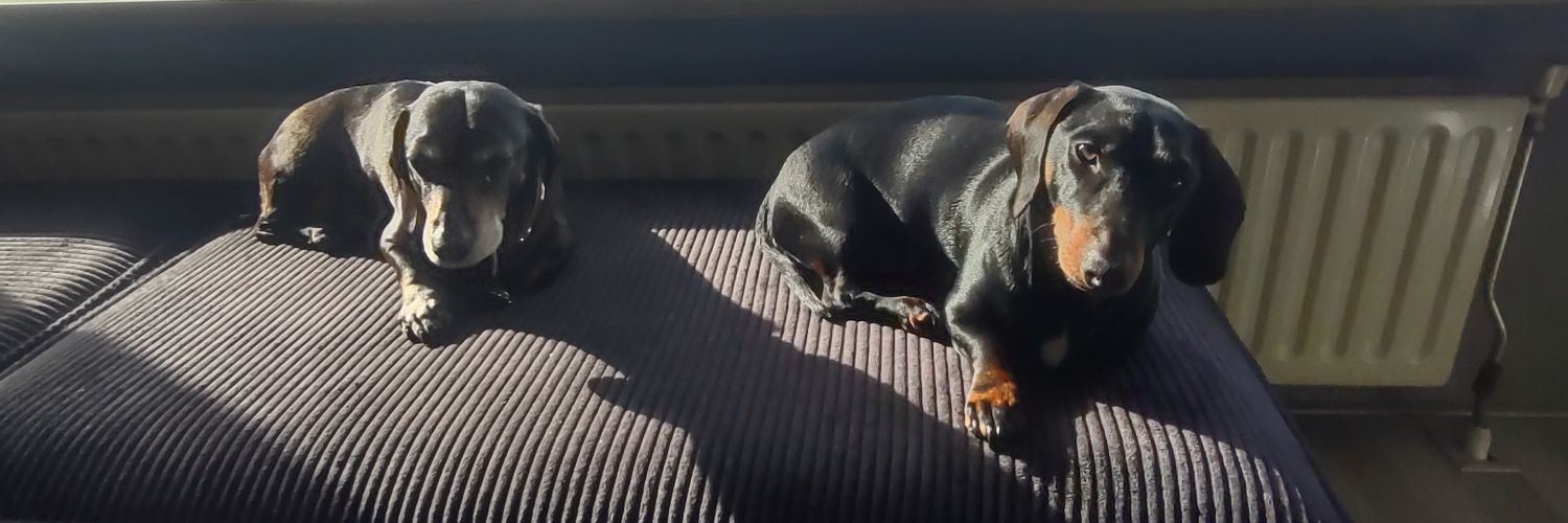 BjorkmanJaime's profile banner image